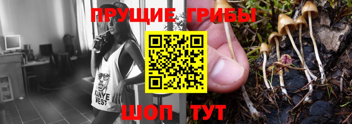 что такое наркотик  Вход с VPN  Назарово  Псилоцибиновые грибы мухоморы  Галлюциногенные грибы Magic Shrooms 